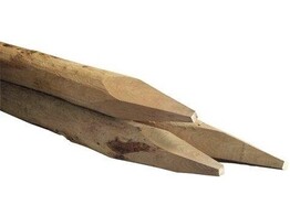 Robinia paal geschild